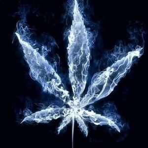 Meet your Posher, Tom